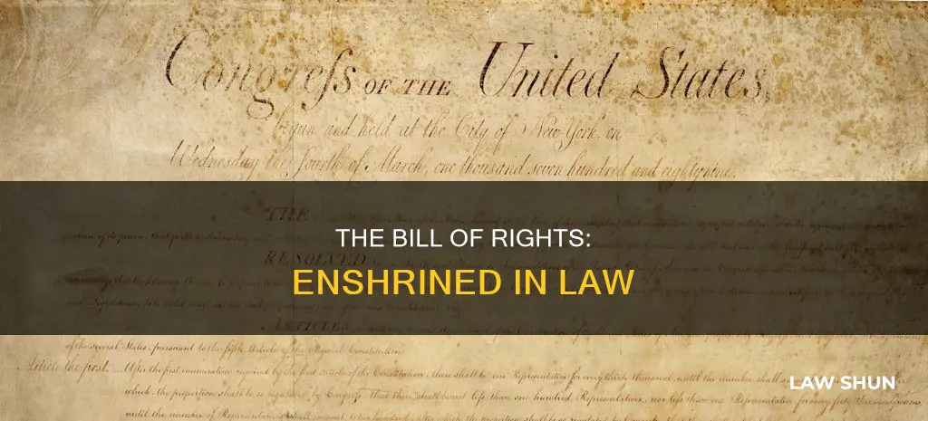 what year did the bill of rights become a law