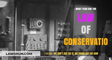 The Law of Conservation: A Historical Journey to Its Inception