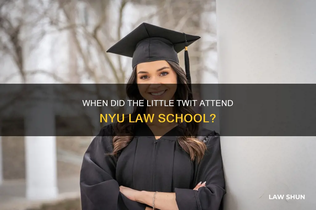 what year did the little twit go to nyu law