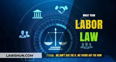 Understanding the Year Labor Law Was Established and Its Impact