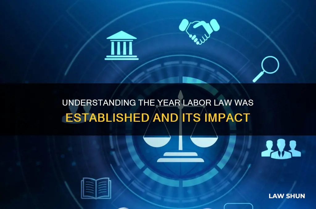 what year labor law