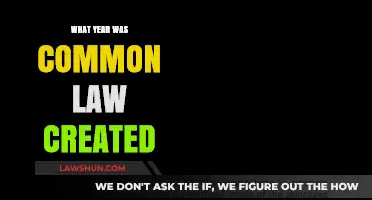 The Evolution of Common Law: A Historical Perspective