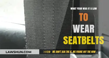 When Did Seatbelt Laws Begin? A Historical Overview