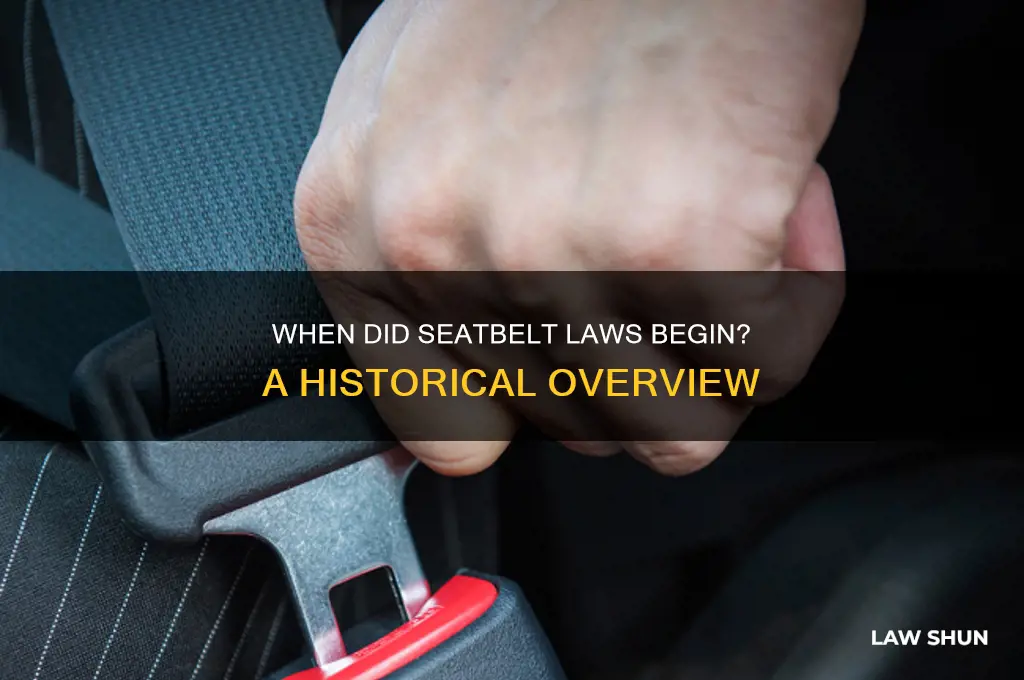 what year was it a law to wear seatbelts