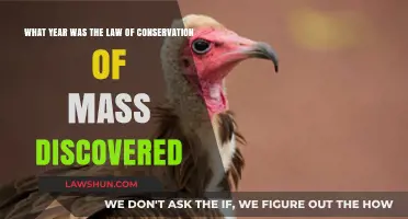 The Discovery Year of the Law of Conservation of Mass