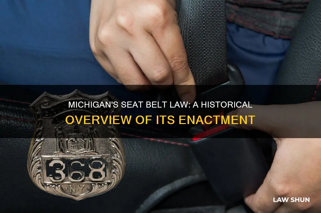 what year was the michigan seat belt law enacted