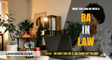 Explore Career Options with a BA in Law