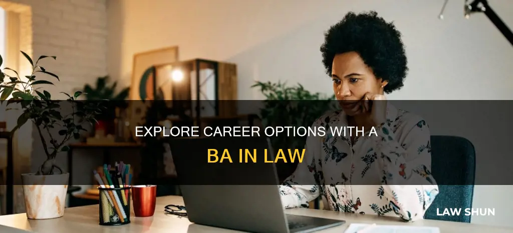 what you can do with a ba in law