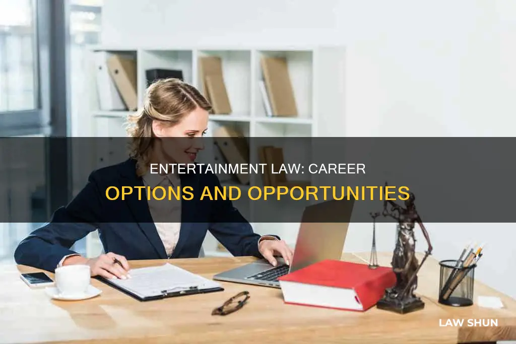what you can do with entertainment law experiece