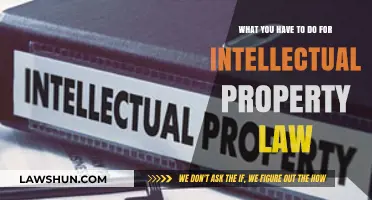 Mastering Intellectual Property Law: Essential Steps for Protection and Compliance