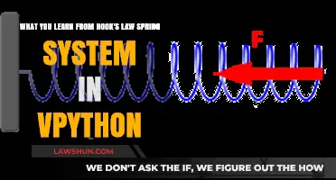 Understanding Hooke's Law: Spring System Dynamics in VPython Explained