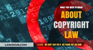 Understanding Copyright Law: Essential Insights for Creators and Users