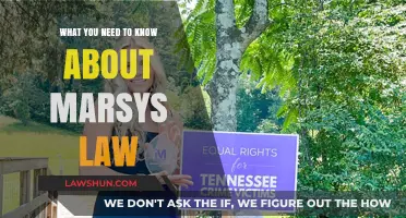 Understanding Marsy's Law: Key Insights and Implications for Victims' Rights