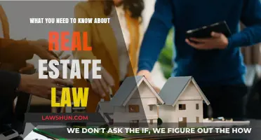 Understanding Real Estate Law: Essential Insights for Property Owners and Buyers