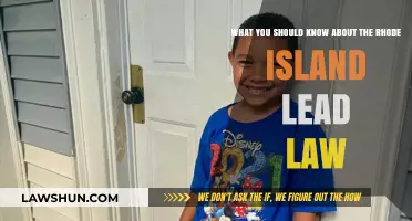 Understanding Rhode Island's Lead Law: Key Facts for Homeowners