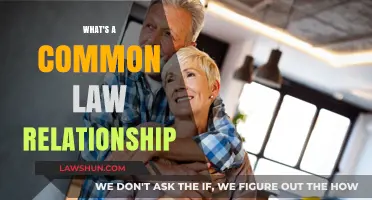 Understanding Common Law Relationships: Legal Rights and Benefits