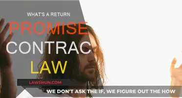 Understanding Return Promise Contracts: A Legal Overview