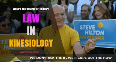 Hilton's Law in Kinesiology: Understanding Nerve and Joint Connections