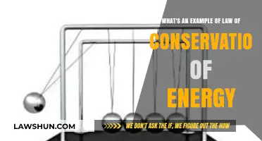 Exploring Real-Life Examples of Energy Conservation Principles in Action