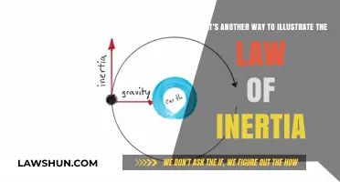 Creative Ways to Demonstrate the Law of Inertia in Everyday Life