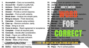 Exploring Synonyms: What's Another Word for 'Correct'?