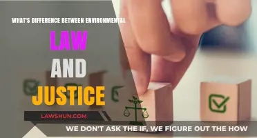 Environmental Law vs Justice: Understanding the Key Differences