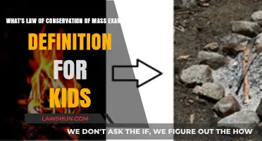 Understanding the Law of Conservation of Mass: Simple Examples for Kids