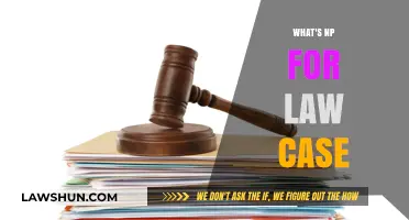 Understanding Legal Precedent: What's Next?