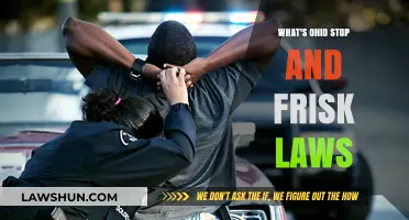 Ohio's Stop and Frisk Laws: Understanding Your Rights and Limits
