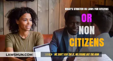 Stricter US Laws: Citizens vs. Non-Citizens – A Comparative Analysis