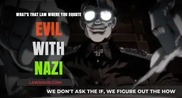 Equating Evil with Nazi: Understanding the Legal and Ethical Implications