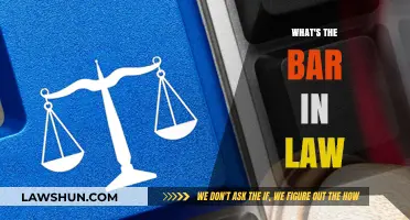 Understanding the Legal Bar: Requirements and Implications
