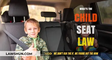 Understanding Child Seat Laws: Safety Requirements for Young Passengers