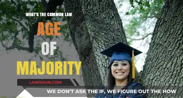 Understanding the Age of Majority in Common Law