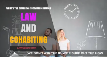 Common-Law vs Cohabitation: Understanding the Legal Distinction