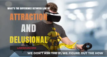 Delusion or Attraction: The Fine Line