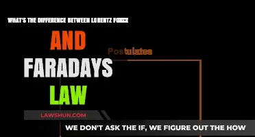 Lorentz Force and Faraday's Law: Distinct Principles, Shared Electromagnetism