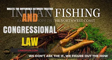 Treaties vs. Congressional Law: What's the Difference?