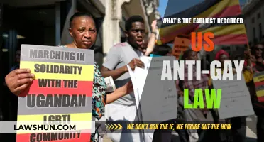 Unveiling America's Dark Past: The Earliest Known Anti-Gay Law