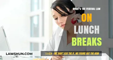 Unraveling Federal Lunch Break Laws: Rights and Regulations