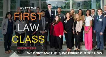 First Steps in Law: An Introduction to Legal Study