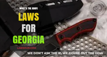 Georgia Knife Laws: Understanding Carry, Ownership, and Legal Restrictions