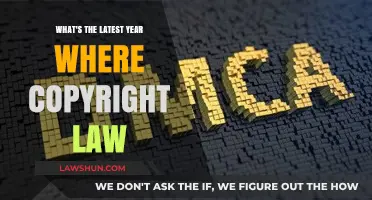 Latest Year of Copyright Law Updates: What You Need to Know