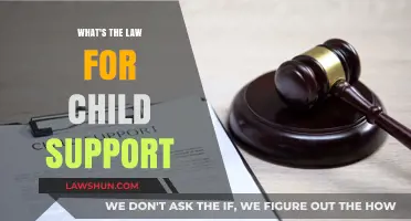 Understanding Child Support Laws: Your Rights and Responsibilities Explained