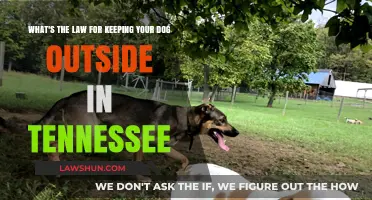 Tennessee Dog Owners: Legal Guidelines for Outdoor Pet Care