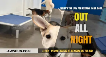 Legal Guidelines for Keeping Dogs Outside Overnight: What You Need to Know