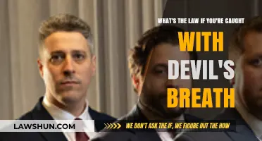 Caught with Devil's Breath: Understanding the Legal Consequences and Penalties