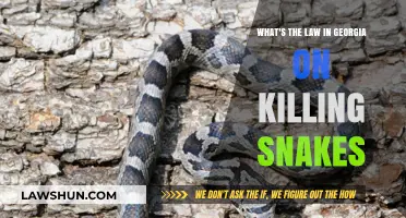 Georgia's Snake Laws: Understanding Legalities of Killing Snakes in the State