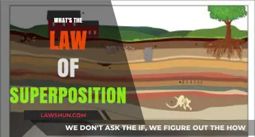 Unraveling the Mysteries of the Law of Superposition