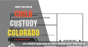 Understanding Colorado Child Custody Laws: Rights, Responsibilities, and Legal Process